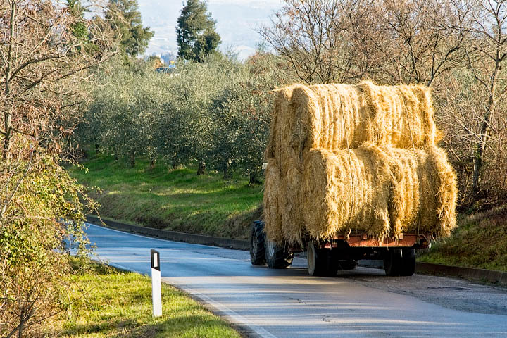 tuscany center tuscany center toscana centrale montaione trattore balle fieno ulivi strada