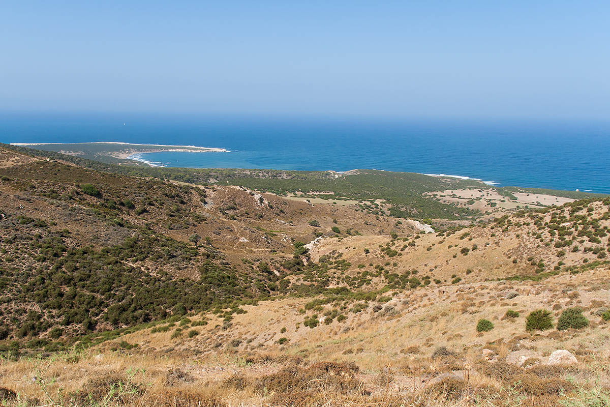 view panorama lara beach road street strada raw sterrata cipro cyprus holiday vacanze sea mare Πάφος Pafos Polis