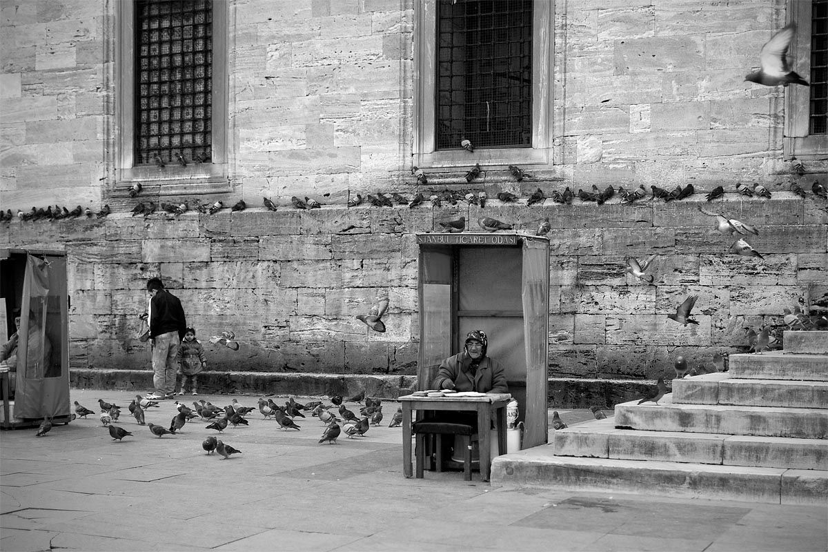 Yeni Camii piccioni colombi pigeons istanbul instanbul turchia canon 5d 35mm f/1.4 1.4