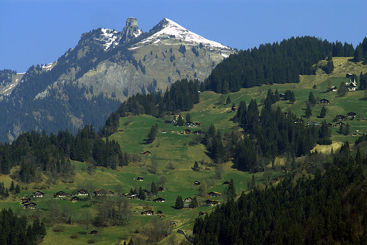 svizzera switzerland montagne verdi green mountain houses case prati