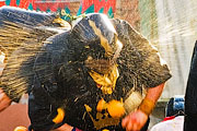 carnevale d'ivrea 2009