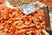 pesce