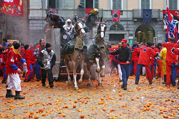 carnevale ivrea carnival carnaval piemonte piedmont tradition tiro arance oranges foto ufficiali 2008 cavalli imbizzarriti horses