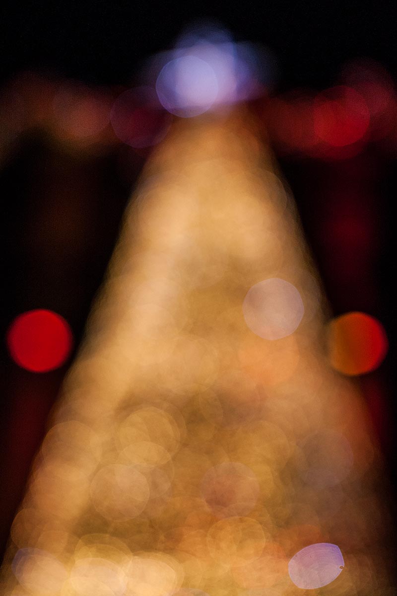 bokeh sfuocato artistico luci di natale christmas lights tree albero di natale edinburgh edimburgo scotland canon 5d 50mm 50 f/1.2L 1.2 USM