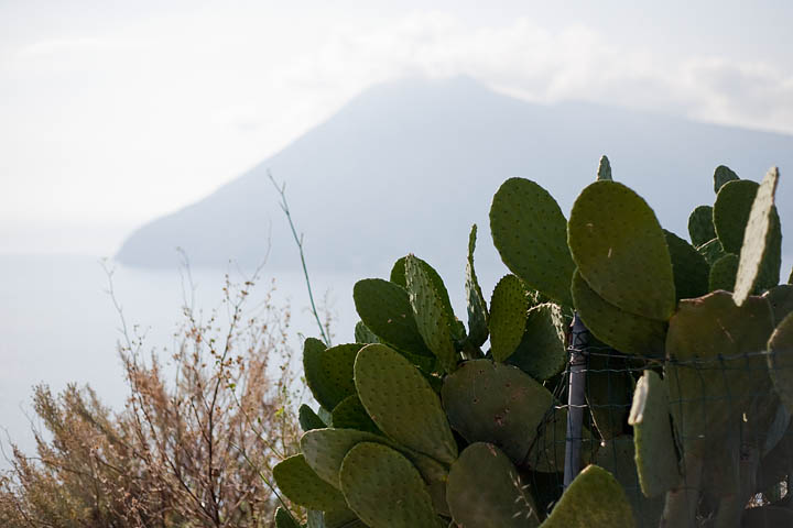 centro paese Lipari panorama salina isole eolie cactus fichi d'india strada acquacalda quattropani