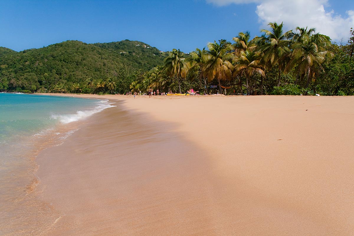 grande anse beach seaside spiaggia caraibi palms palme Guadeloupe guadalupa french caribbean antille francesi basse terre canon 400d sigma 18-200