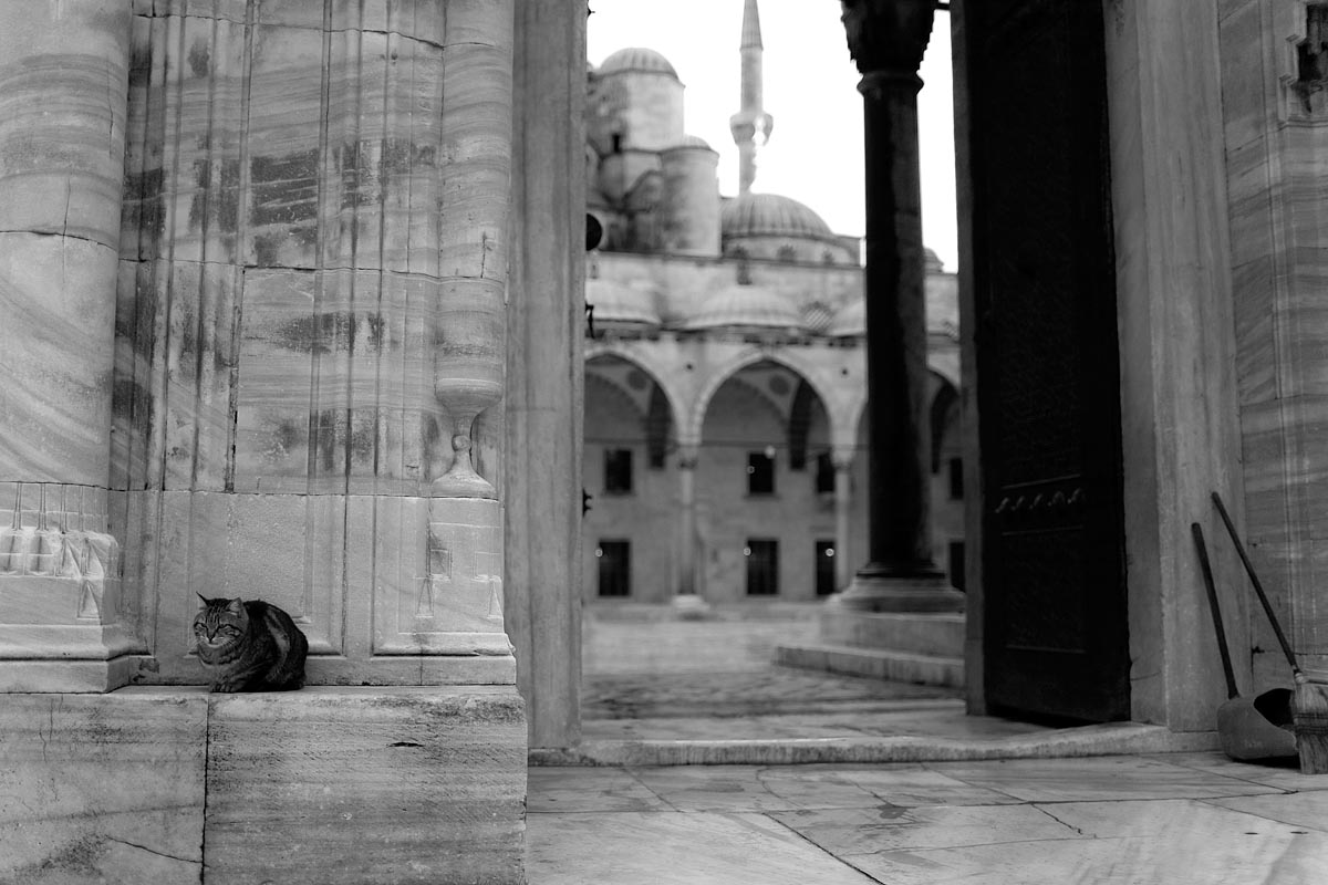 moschea blu blue mosque bn bw istanbul instanbul turchia canon 5d 35mm f/1.4 1.4