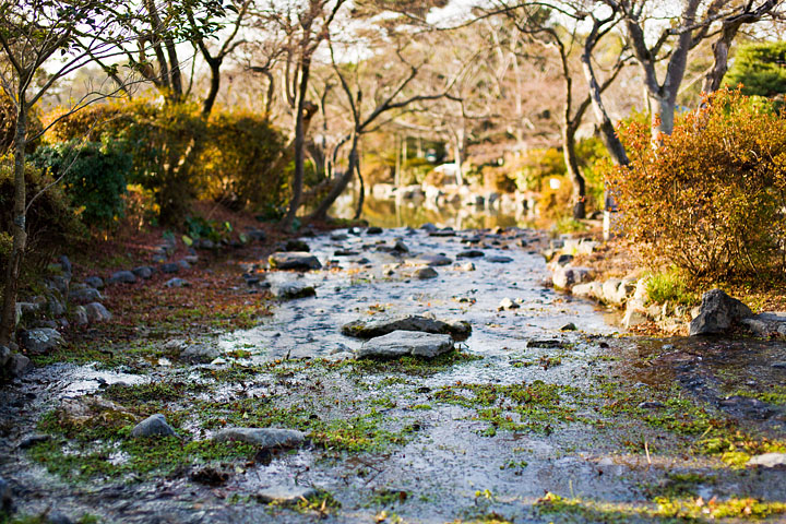 kyoto giardino zen nature sigma 50mm 1.4 park parco river fiumiciattolo