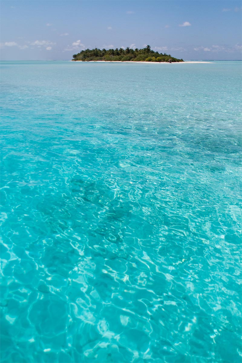 maldive maldives atollo felidhoo vaavu atoll Bodhumora mare sea light blue swimming pool piscina