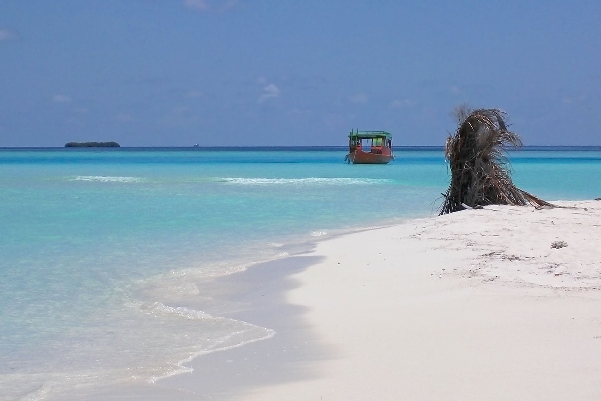 maldive maldives atollo felidhoo vaavu atoll Bodhumora isola island barca boat sabbia bianca white sand