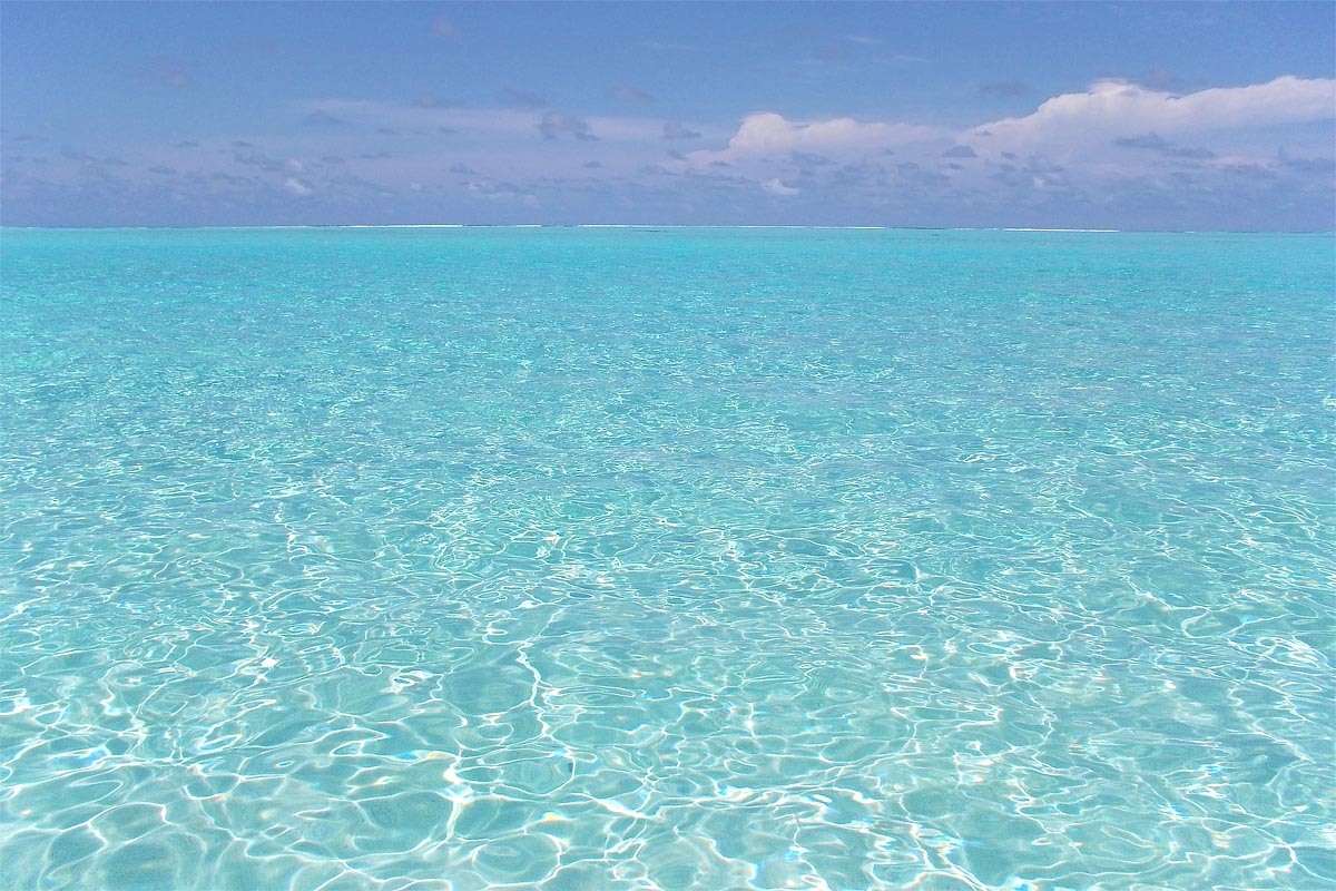 maldive maldives atollo felidhoo vaavu atoll Bodhumora piscina azzurra mare splendido incredibile sea light blue incredible