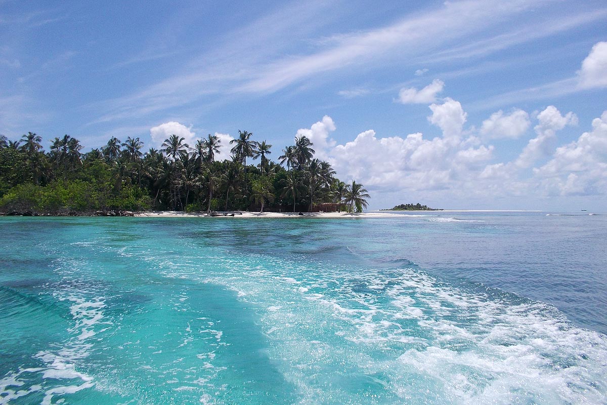 maldive maldives atollo felidhoo vaavu atoll Hulidhoo barca scia bianca white palme palms