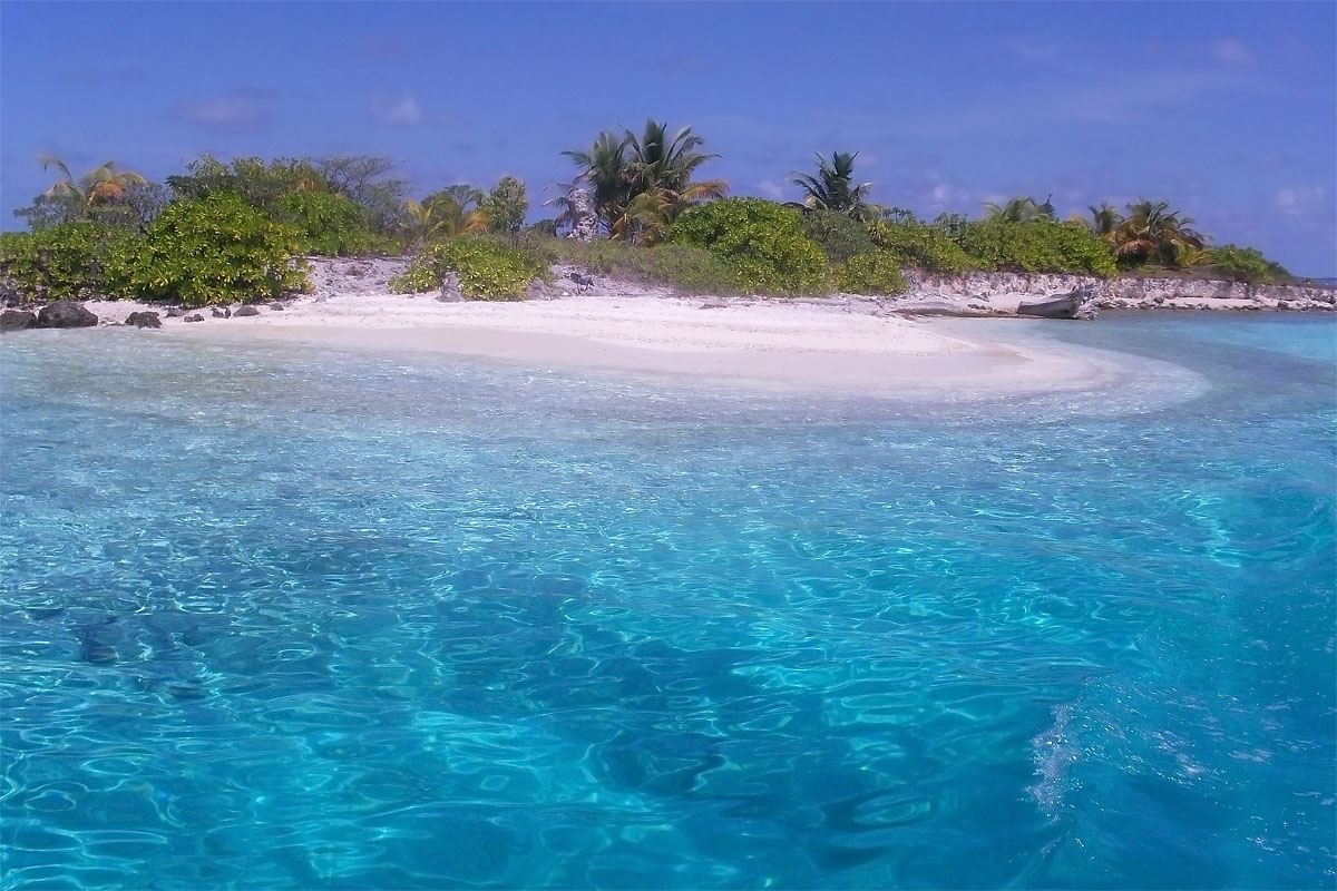 maldive maldives atollo felidhoo vaavu atoll Bodhumora isola vicino close near spiaggia seaside piscina azzurro