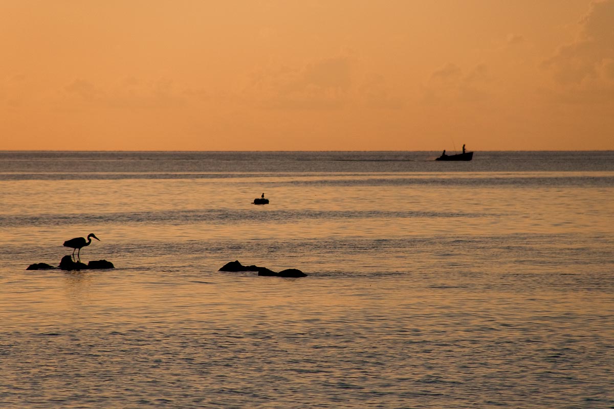 maldive maldives atollo felidhoo vaavu atoll Keyodhoo tramonto profili profiles sunset pellicano barca pelican boat controluce