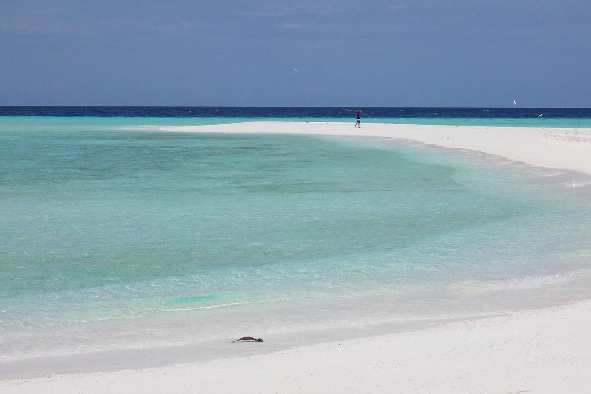 maldive maldives atollo felidhoo vaavu atoll lingua di sabbia mare cristallino azzurro brilliant water acqua trasparente light blue