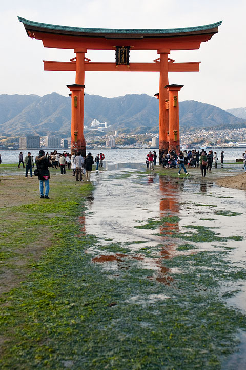miyajima tori bassa marea senz'acqua tempio