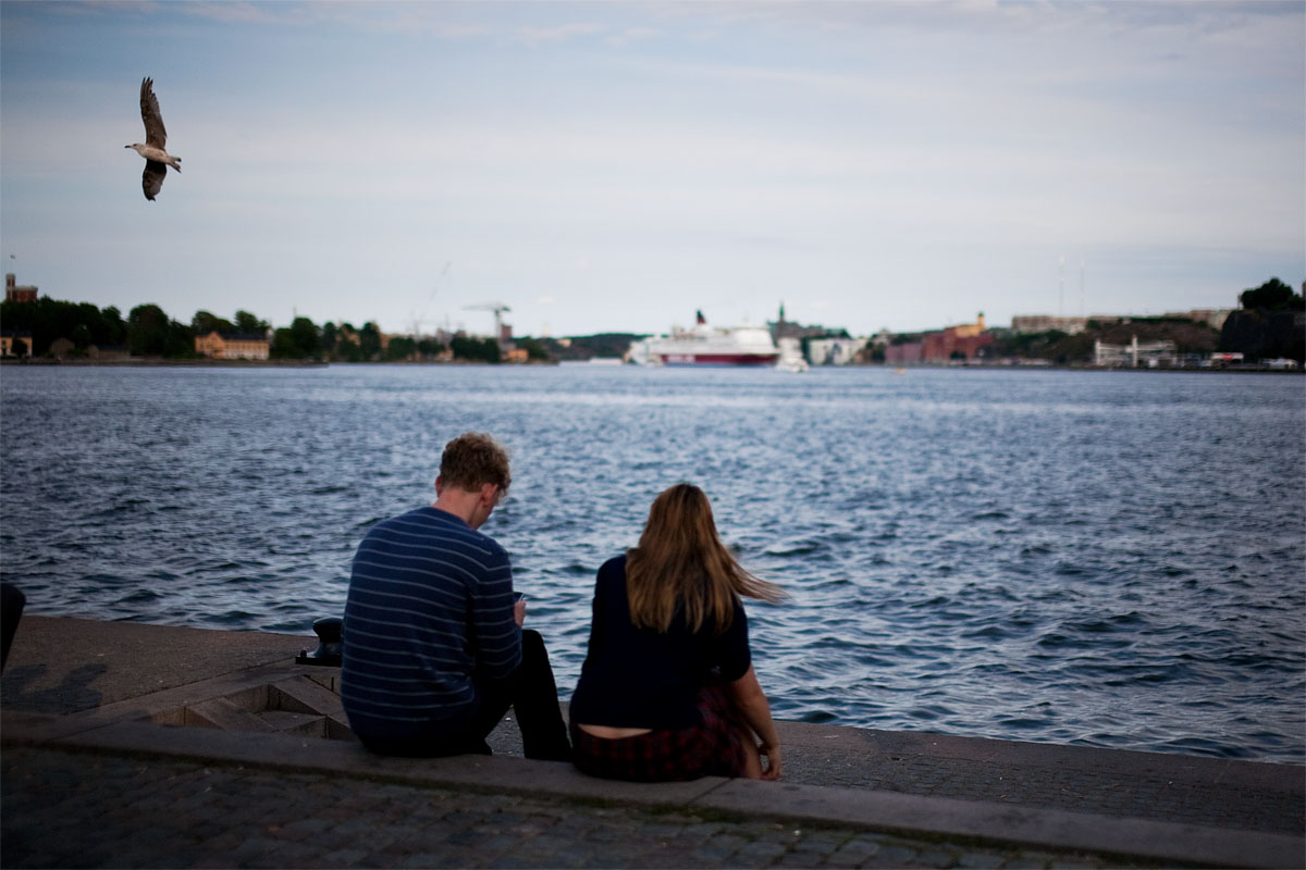 gabbiano coppia love amore mare sea capitali del nord north europe stoccolma Stockholm sigma 50 1.4 canon 5d ff