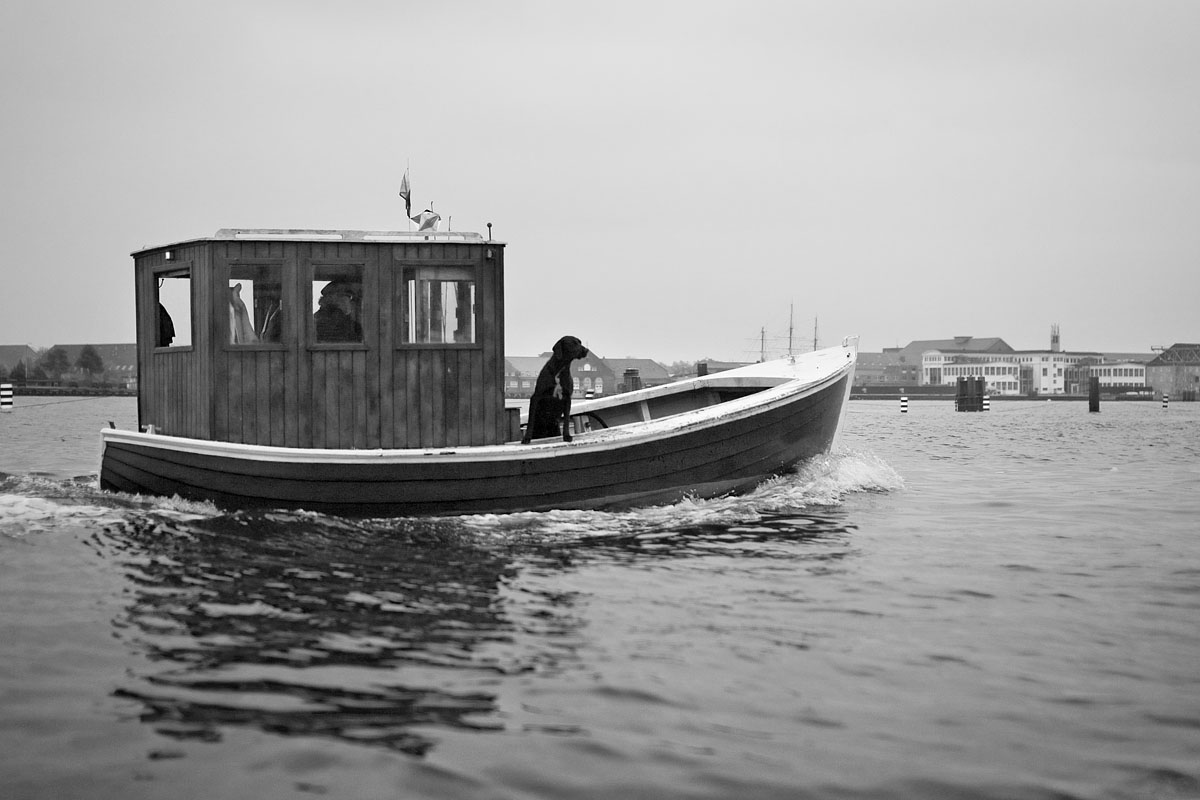 boat barca cane dog canali mare sea peschereccio capitali del nord north europe copenhagen København sigma 50 1.4 canon 5d ff