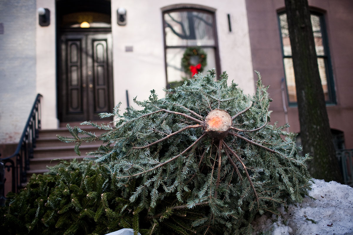 christmas tree pino albero di natale abbandonato home casa upper east side new york city nyc u.s.a. america Canon 35mm f/1.4 5d ff