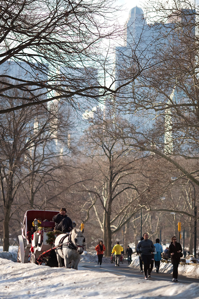central park horse carrozza cavallo bianco jogging neve snow new york city nyc u.s.a. america Canon 135mm f/2 5d ff