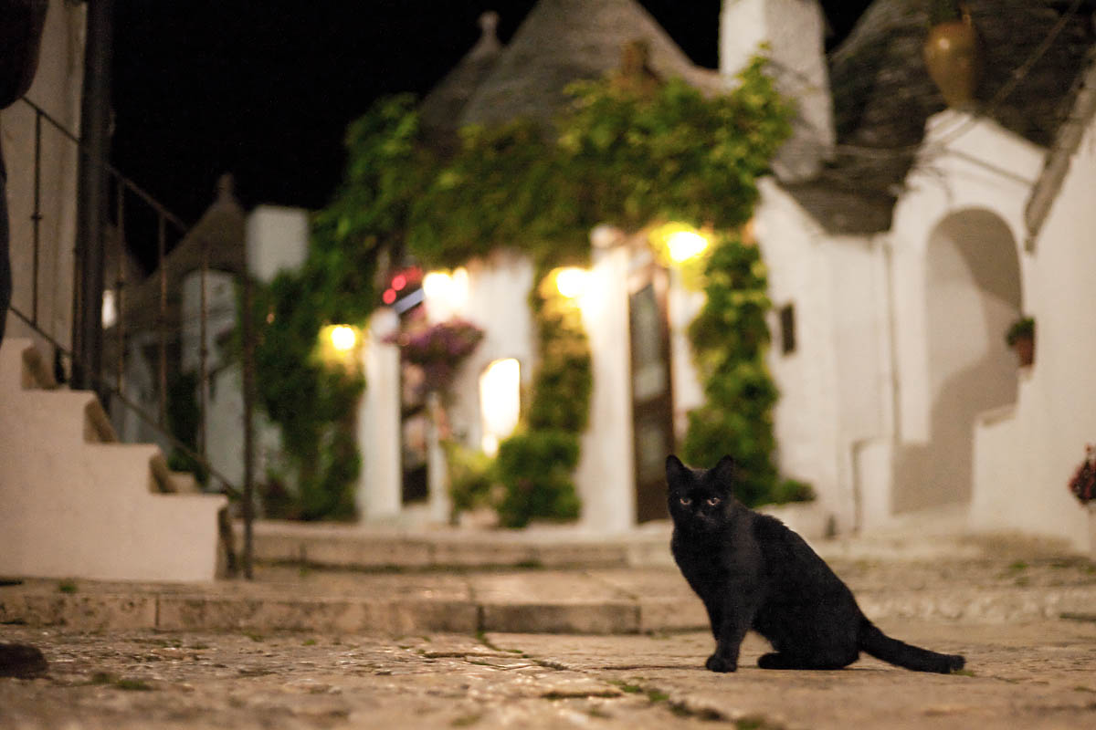 gatto nero black cat alberobello puglia Canon 50mm f/1.8 1.8 5d ff