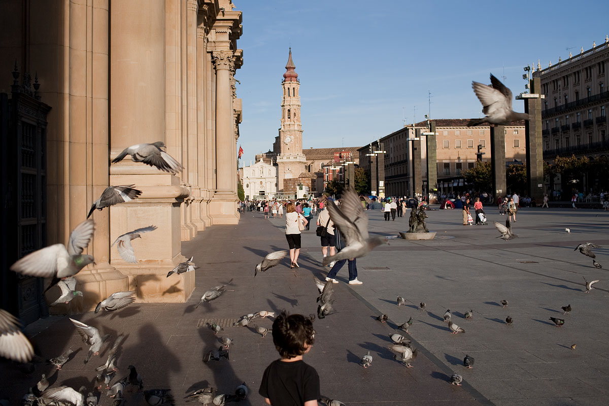 saragozza zaragoza spain Plaza de Nuestra Señora del Pilar piccioni colombi pigeons bimbo bambino Canon 35mm f/1.4 5d ff