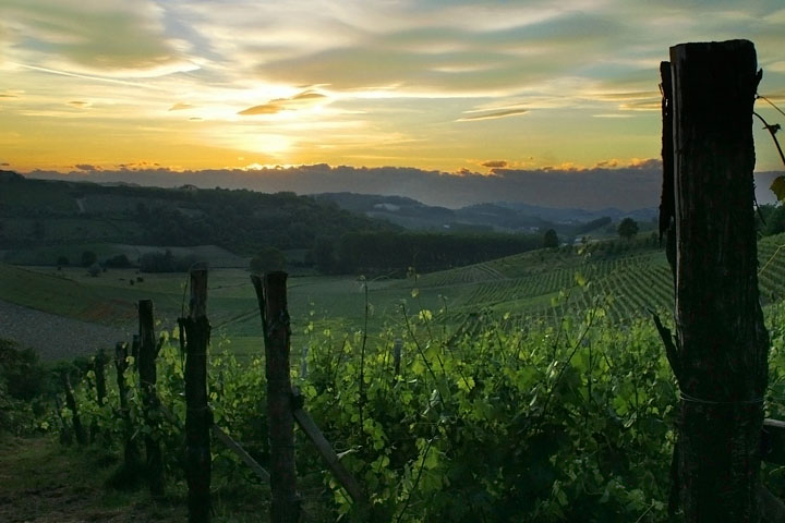 tramonto san martino alfieri viti vitigni uva vino langhe