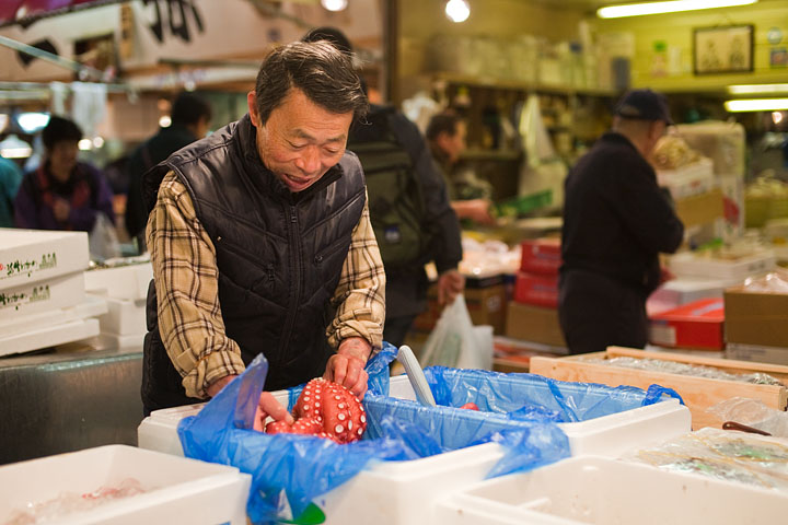 giappone japan tokyo mercato del pesce fish market uomo man polpo rosso octopus